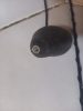 Skoda Fabia II, VW Polo IV antenna 1J0035501C