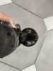 BMW X1 E84, 1 E81 E87 önindító 7523450