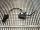 CITROEN JUMPER Platforma / podwozie 2006 - 2022 bal első ajtózár  1393821080